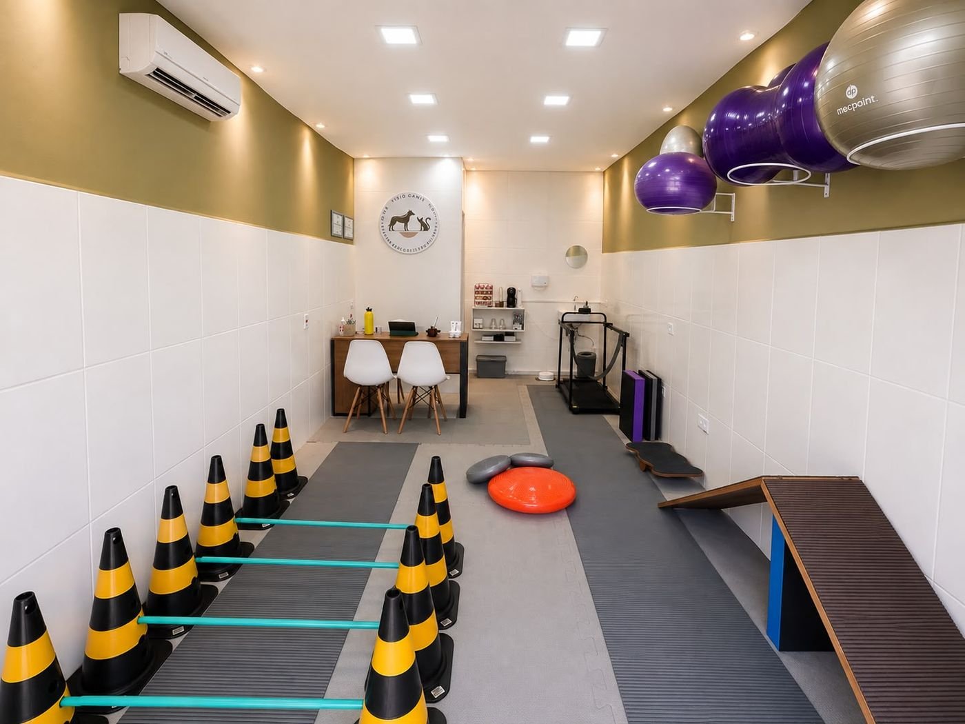 Sala de reabilitação da Fisio Canis
